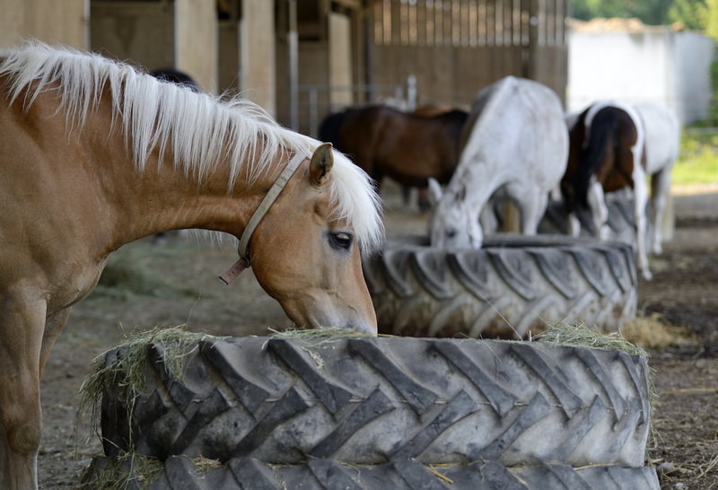 Managing PPE Waste Without Damaging the Environment